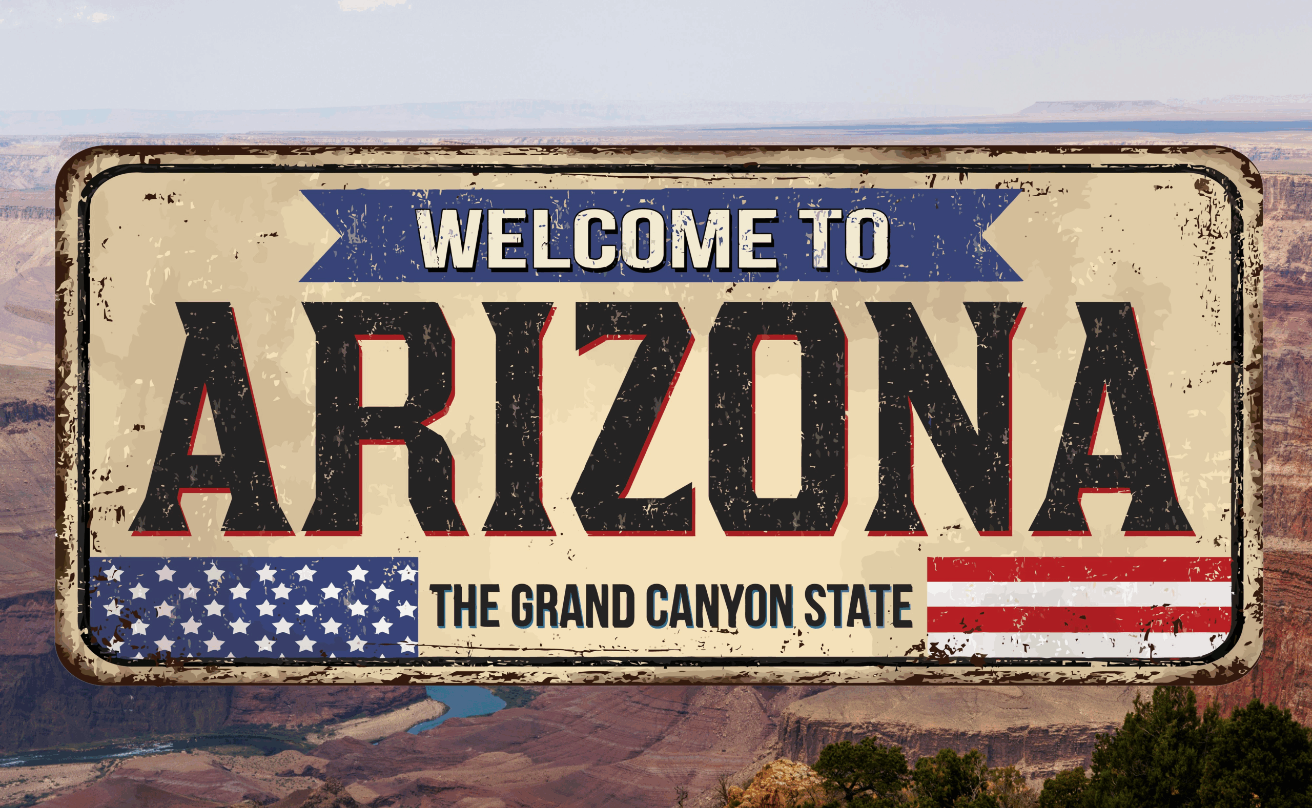 Arizona license plate